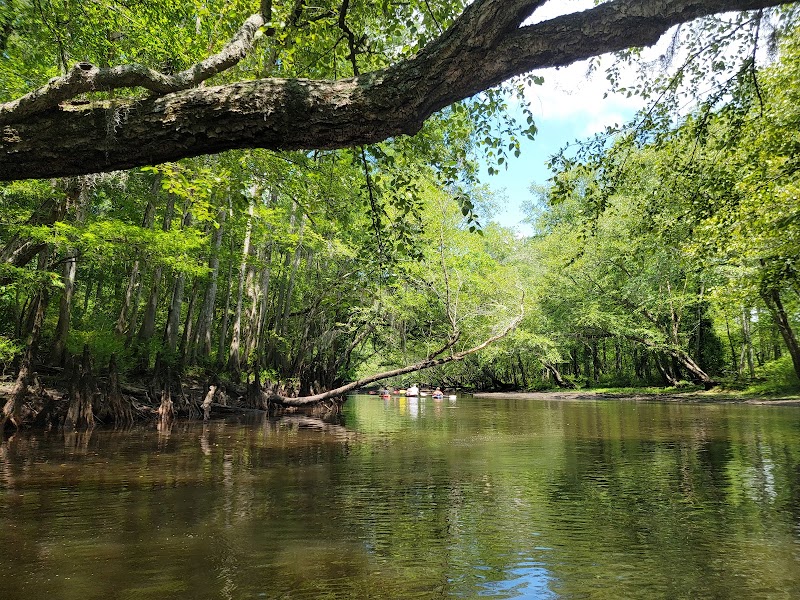 Edisto River: A Natural Haven in South Carolina - Edisto River