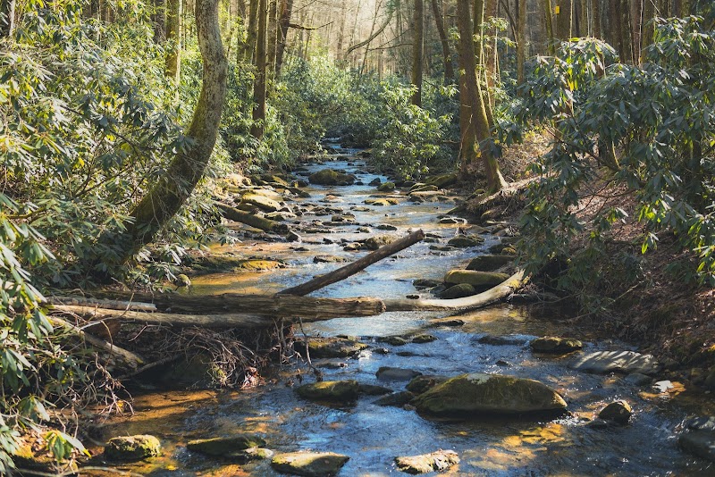 Long Creek Falls - Long Creek Falls