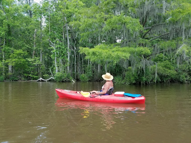 Waccamaw National Wildlife Refuge - Waccamaw National Wildlife Refuge