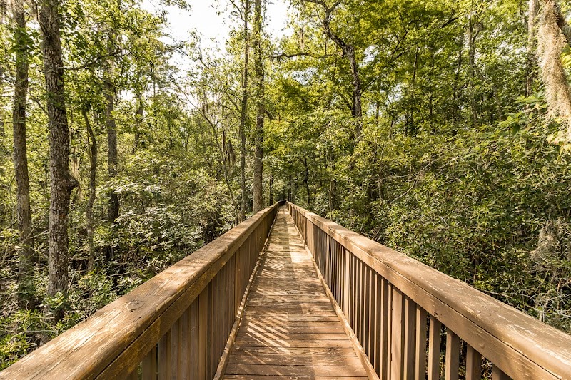 Waccamaw National Wildlife Refuge - Waccamaw National Wildlife Refuge