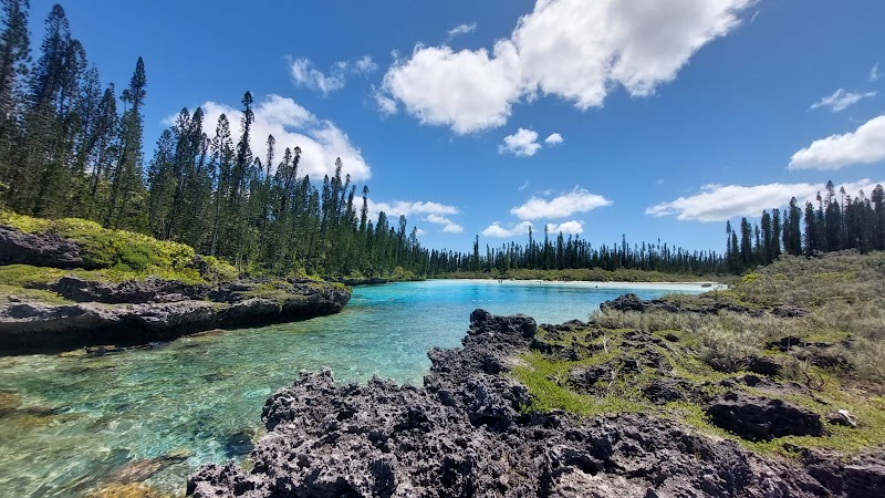 Isle of Pines, New Caledonia - Isle of Pines