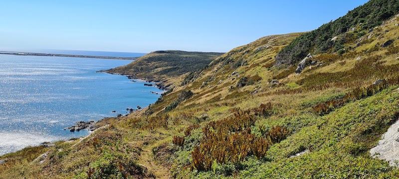 Le Belvédère du Cap de Miquelon - Le Belvédère du Cap de Miquelon