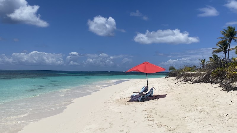 Shoal Bay Beach - Shoal Bay Beach