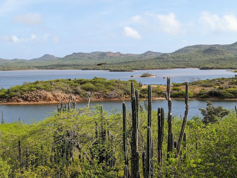 Washington-Slagbaai National Park - Washington-Slagbaai National Park