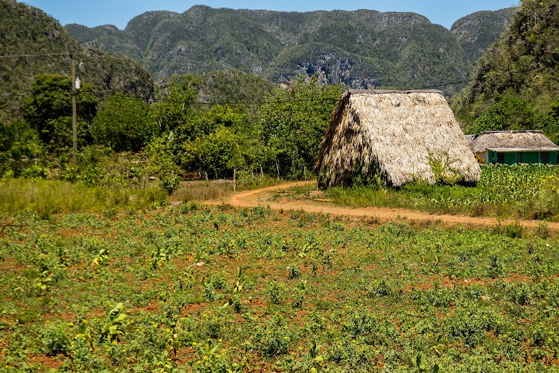 Viñales Valley - Viñales Valley