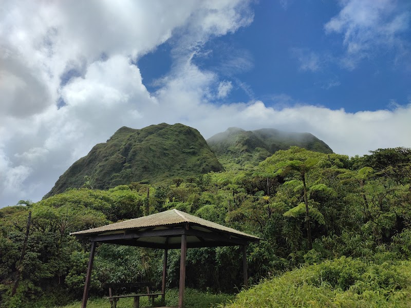 Mount Pelée: The Sleeping Giant of Martinique - Mount Pelée