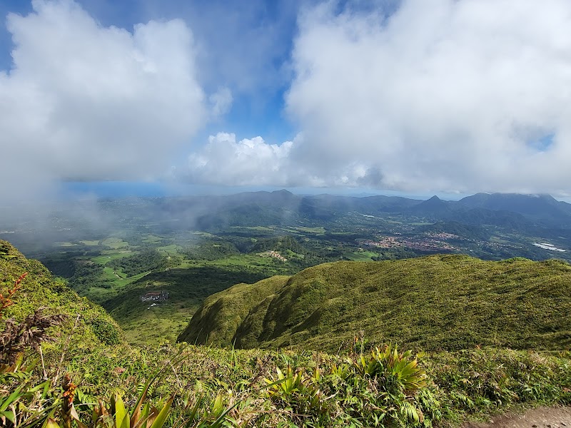 Mount Pelée: The Sleeping Giant of Martinique - Mount Pelée
