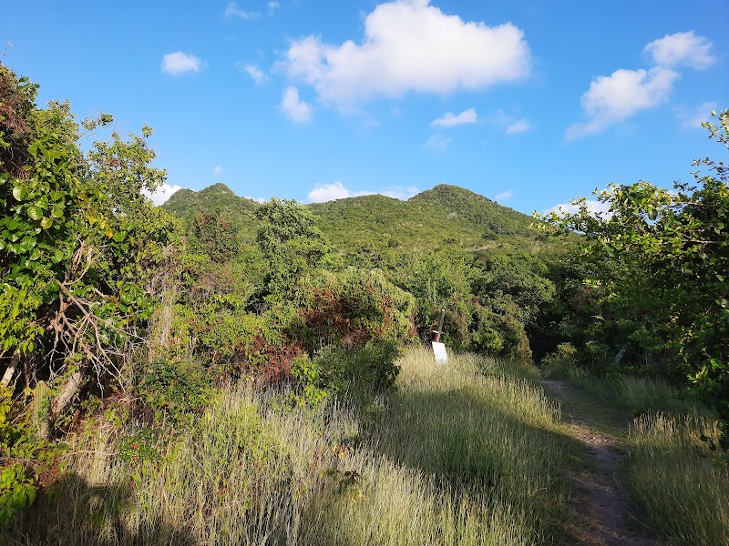 Mount Mazinga - Mount Mazinga
