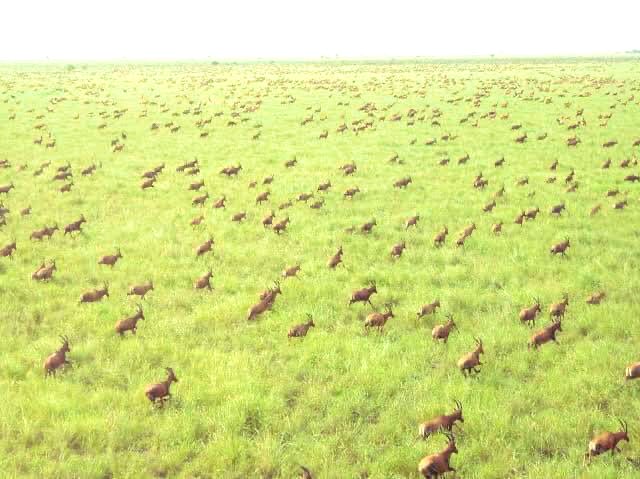 Boma National Park - Boma National Park