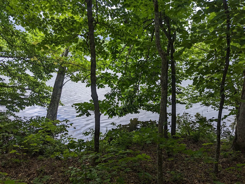 Hiking the Old Mill Trail at Haw Ridge Park: A Knoxville Treasure   - Knoxville