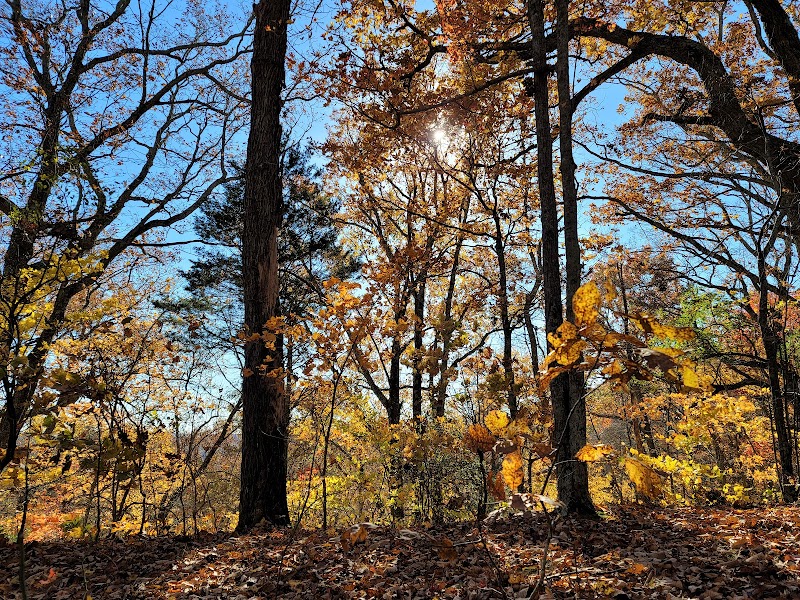 Hiking the Old Mill Trail at Haw Ridge Park: A Knoxville Treasure   - Knoxville