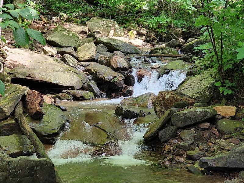 Amicalola Falls - Amicalola Falls