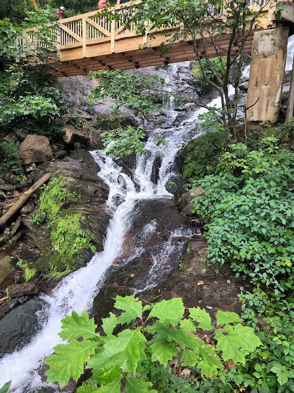 Amicalola Falls surrounding landscape