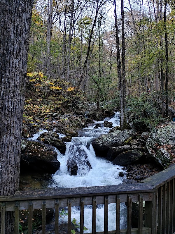 Anna Ruby Falls - Anna Ruby Falls