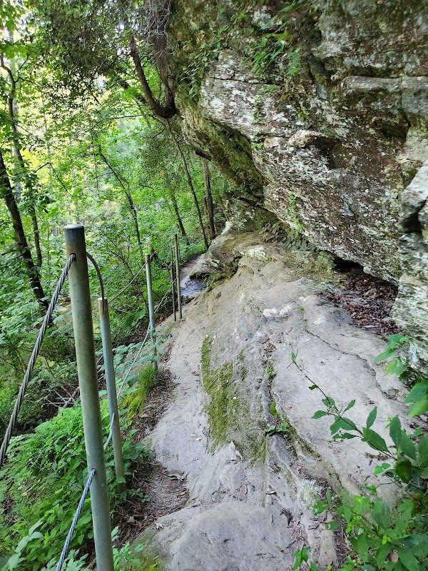 Panther Creek Trail Waterfall surrounding landscape