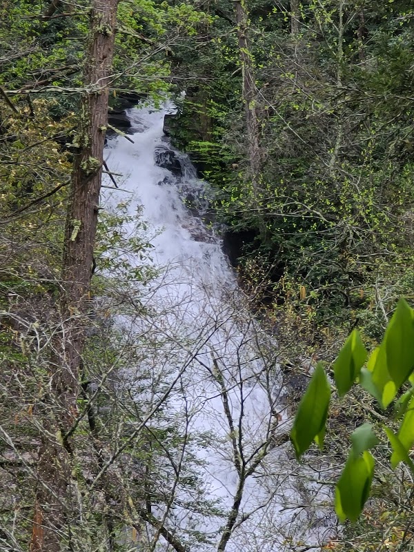 Helton Creek Falls outdoor detail