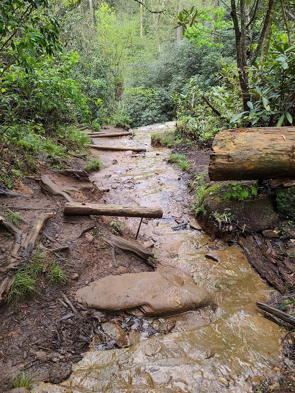 Helton Creek Falls surrounding landscape