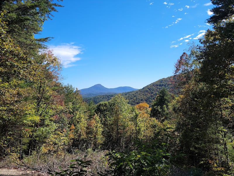 Dukes Creek Falls - Dukes Creek Falls