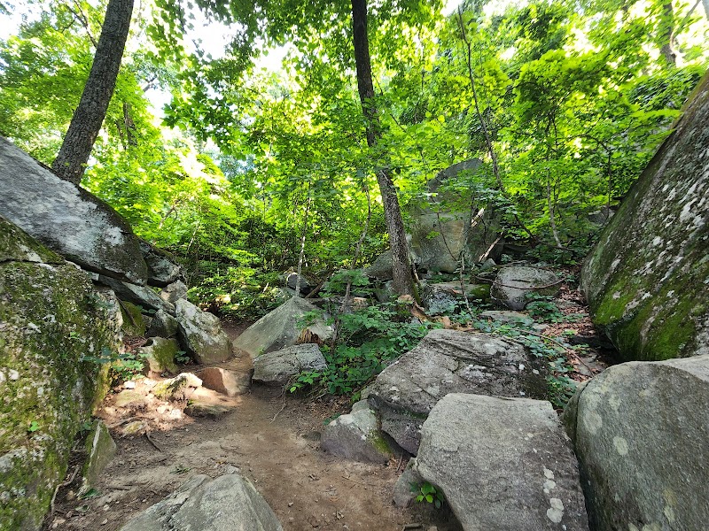Yonah Mountain surrounding landscape