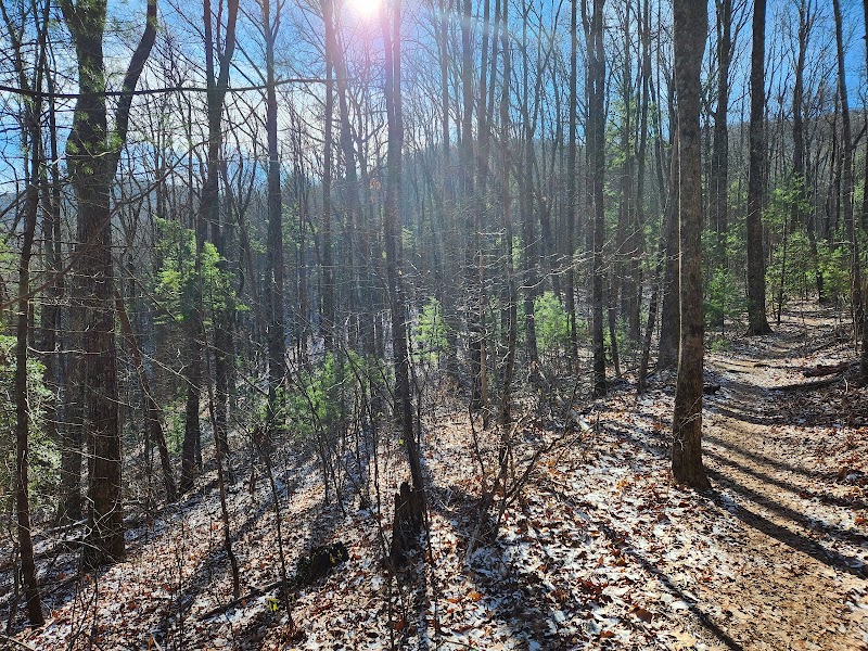 Blood Mountain surrounding landscape