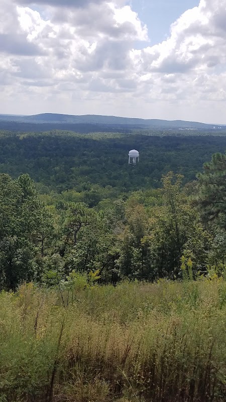 Pine Mountain - Pine Mountain