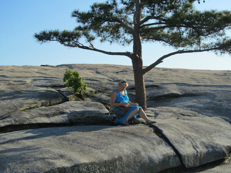 Stone Mountain surrounding landscape