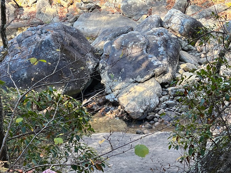 North Chickamauga Creek Gorge State Park - North Chickamauga Creek Gorge State Park