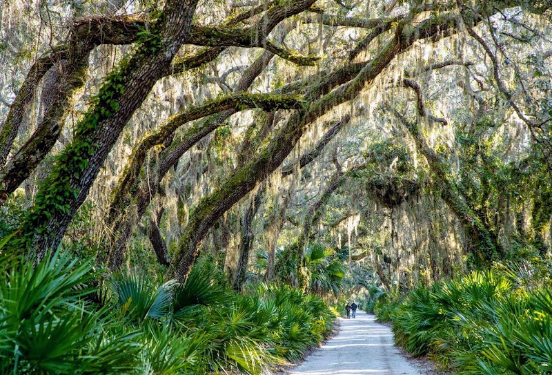 Cumberland Island surrounding landscape
