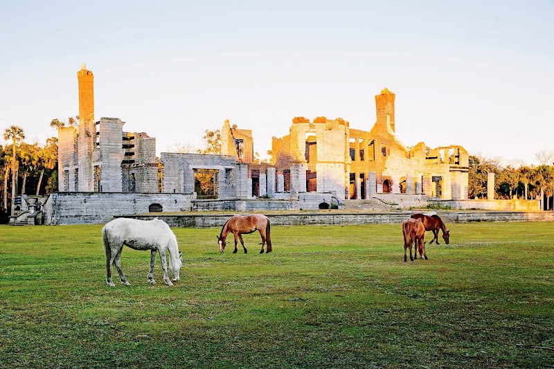 Cumberland Island - Cumberland Island