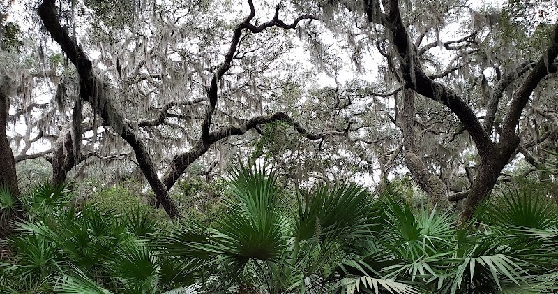 Cumberland Island - Cumberland Island