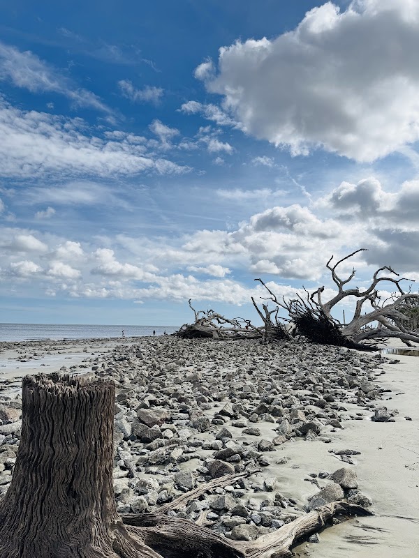 Driftwood Beach surrounding landscape