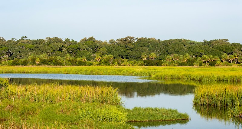 Little St. Simons Island Preserve adventures