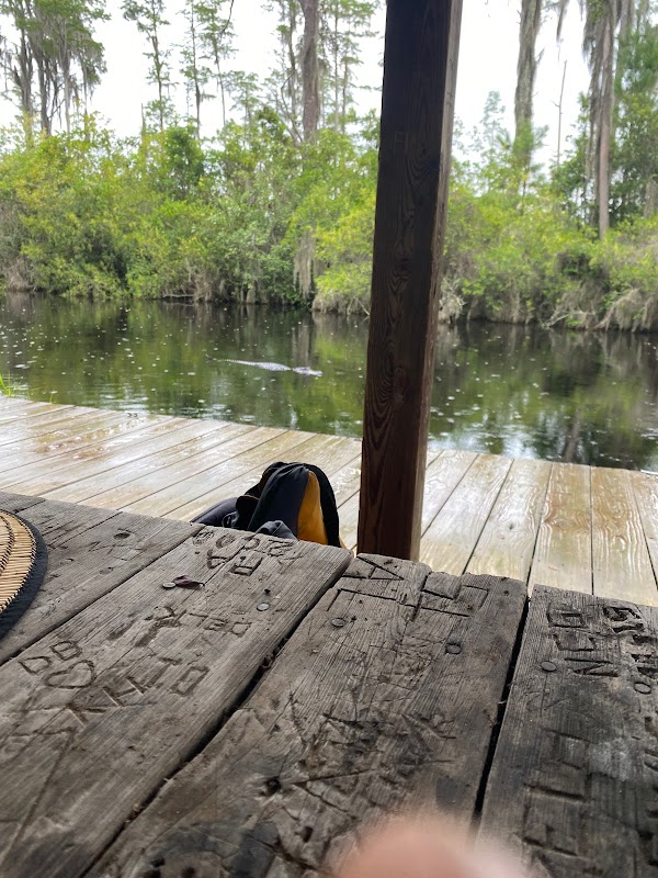 Okefenokee Swamp outdoor detail
