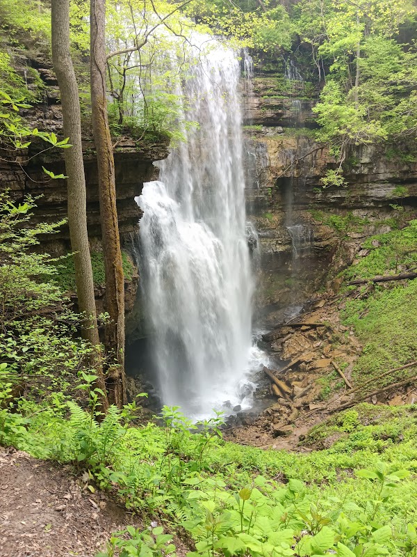 Virgin Falls - Virgin Falls