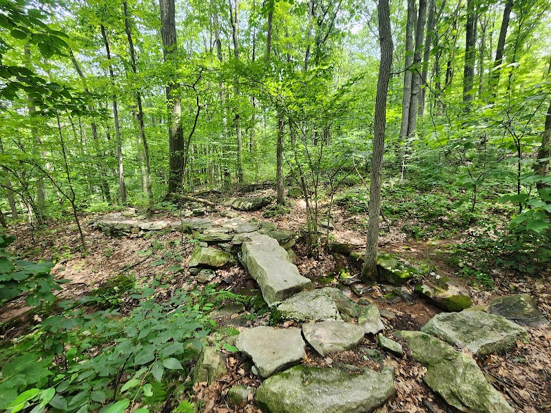Majestic Pathways: Exploring the Appalachian National Scenic Trail - Appalachian National Scenic Trail