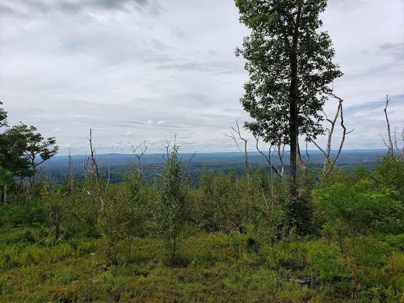 Majestic Pathways: Exploring the Appalachian National Scenic Trail surrounding landscape