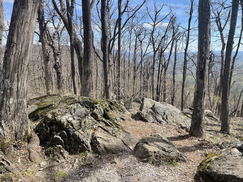 Humpback Rock surrounding landscape