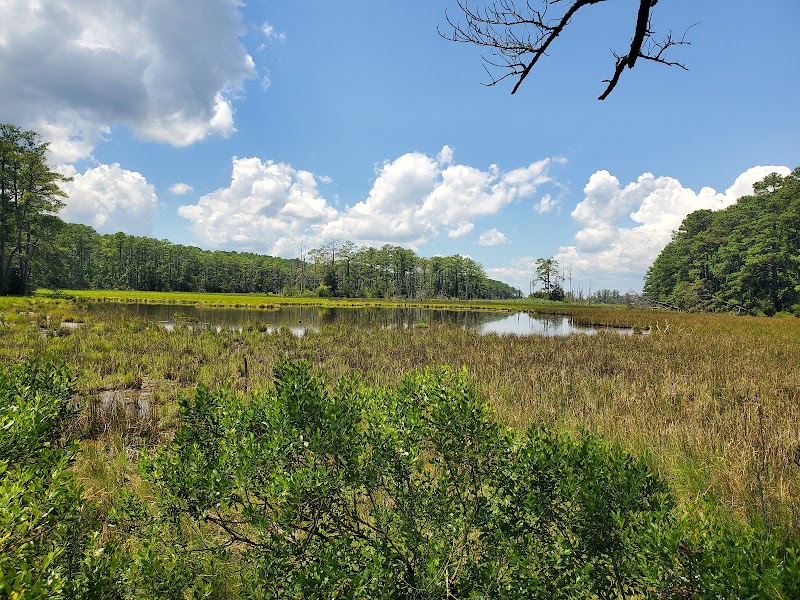 Belle Isle State Park - Belle Isle State Park