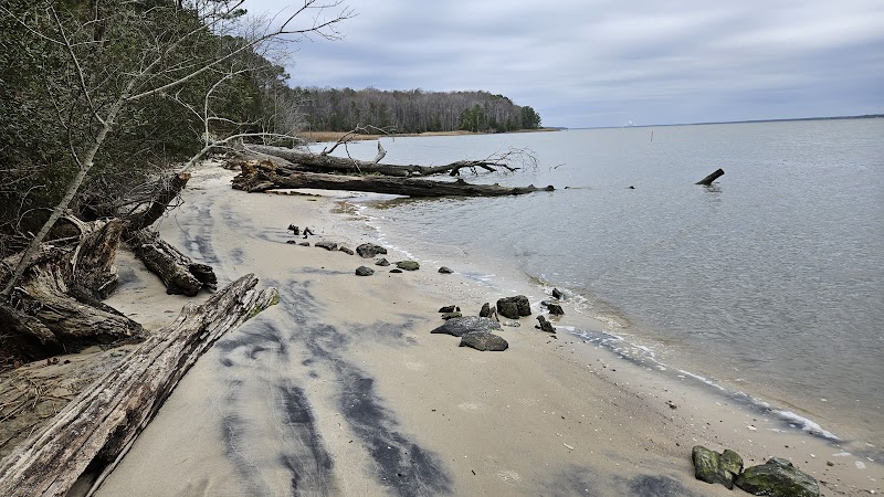 York River State Park - York River State Park