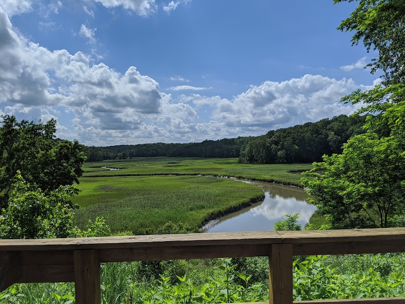 York River State Park - York River State Park