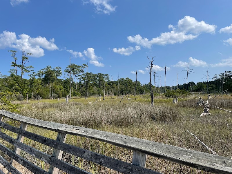 First Landing State Park surrounding landscape
