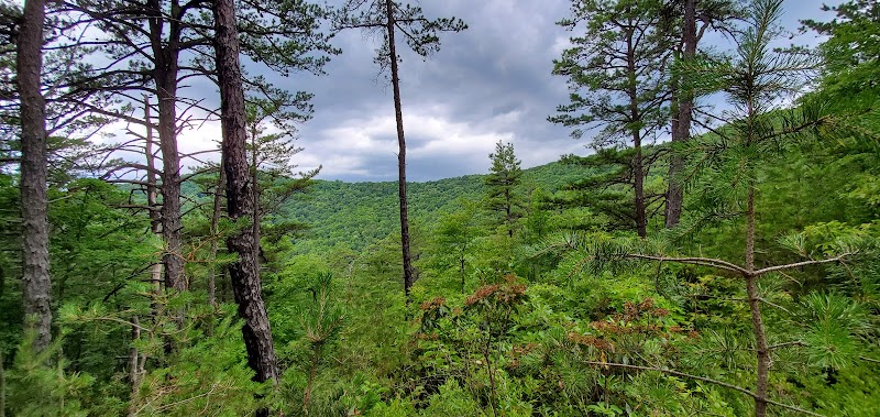 Carvins Cove Natural Reserve - Carvins Cove Natural Reserve