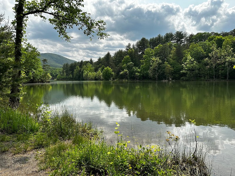 Carvins Cove Natural Reserve adventures