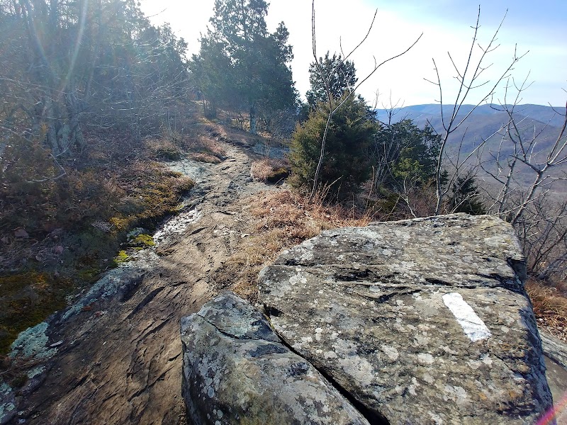 Cedar Cliffs/Appalachian Trail surrounding landscape