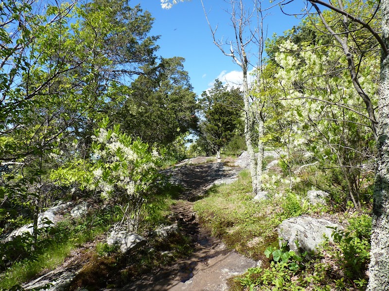 Cedar Cliffs/Appalachian Trail outdoor detail