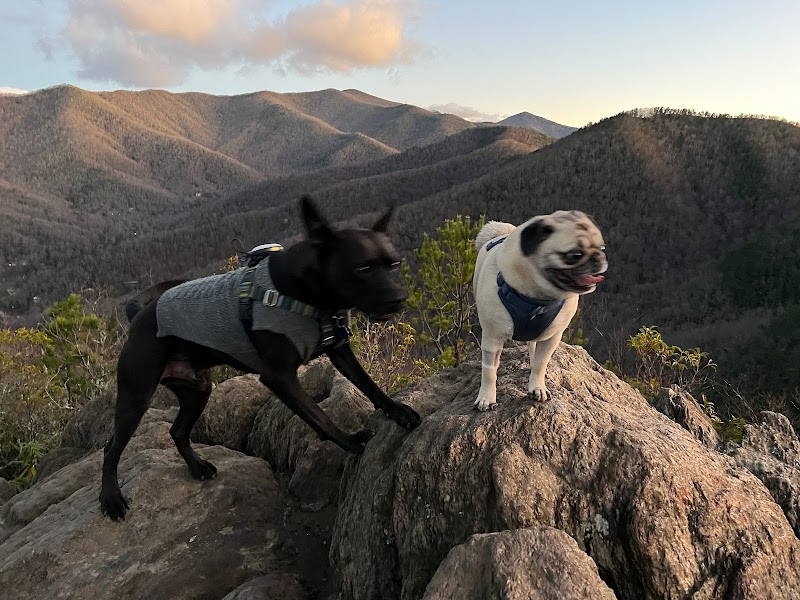 Lookout Mountain Overlook - Lookout Mountain Overlook