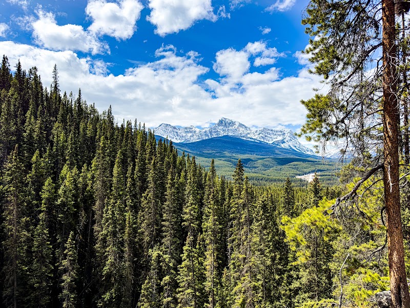 Silverton Falls - Silverton Falls