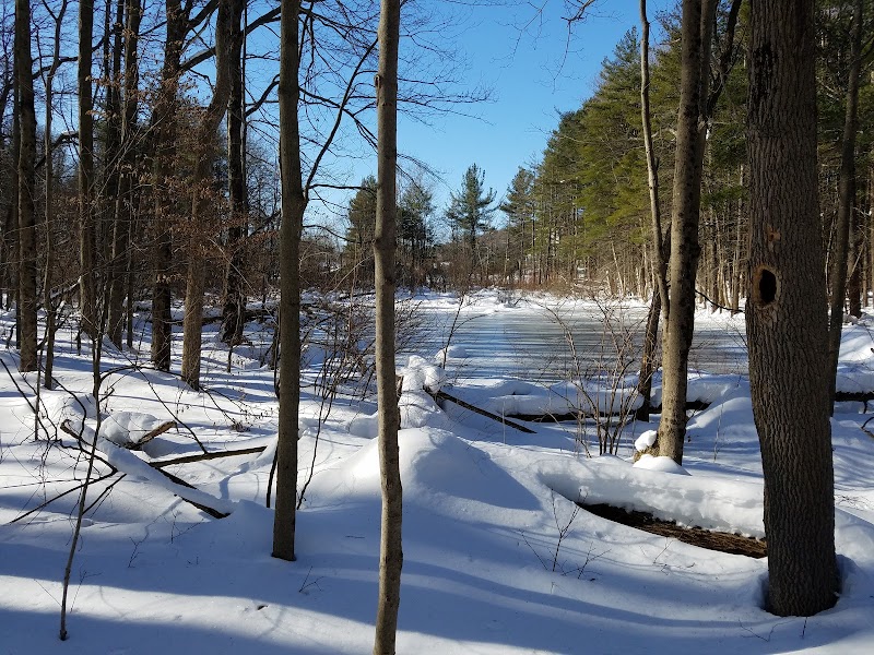 Winter Activities at Kennedy Park in The Berkshires - The Berkshires