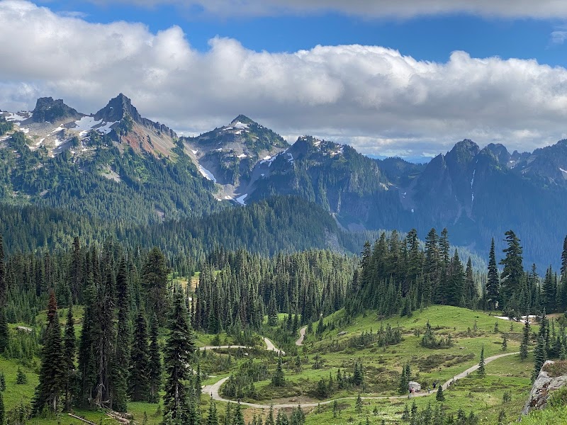 Majestic Mount Rainier surrounding landscape