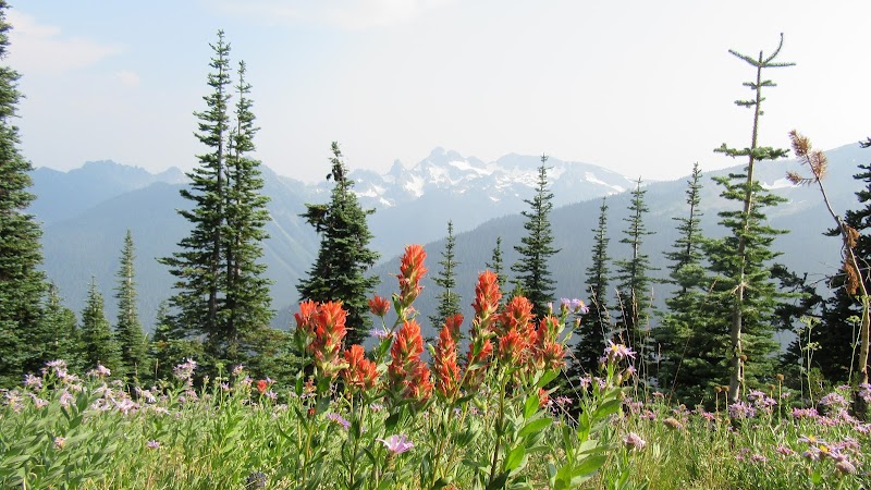 Wonderland Trail: Nature's Majestic Loop surrounding landscape